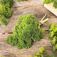 curled parsley petroselinum crispum samen für pflanzung Kräuterpflanze bed container garden