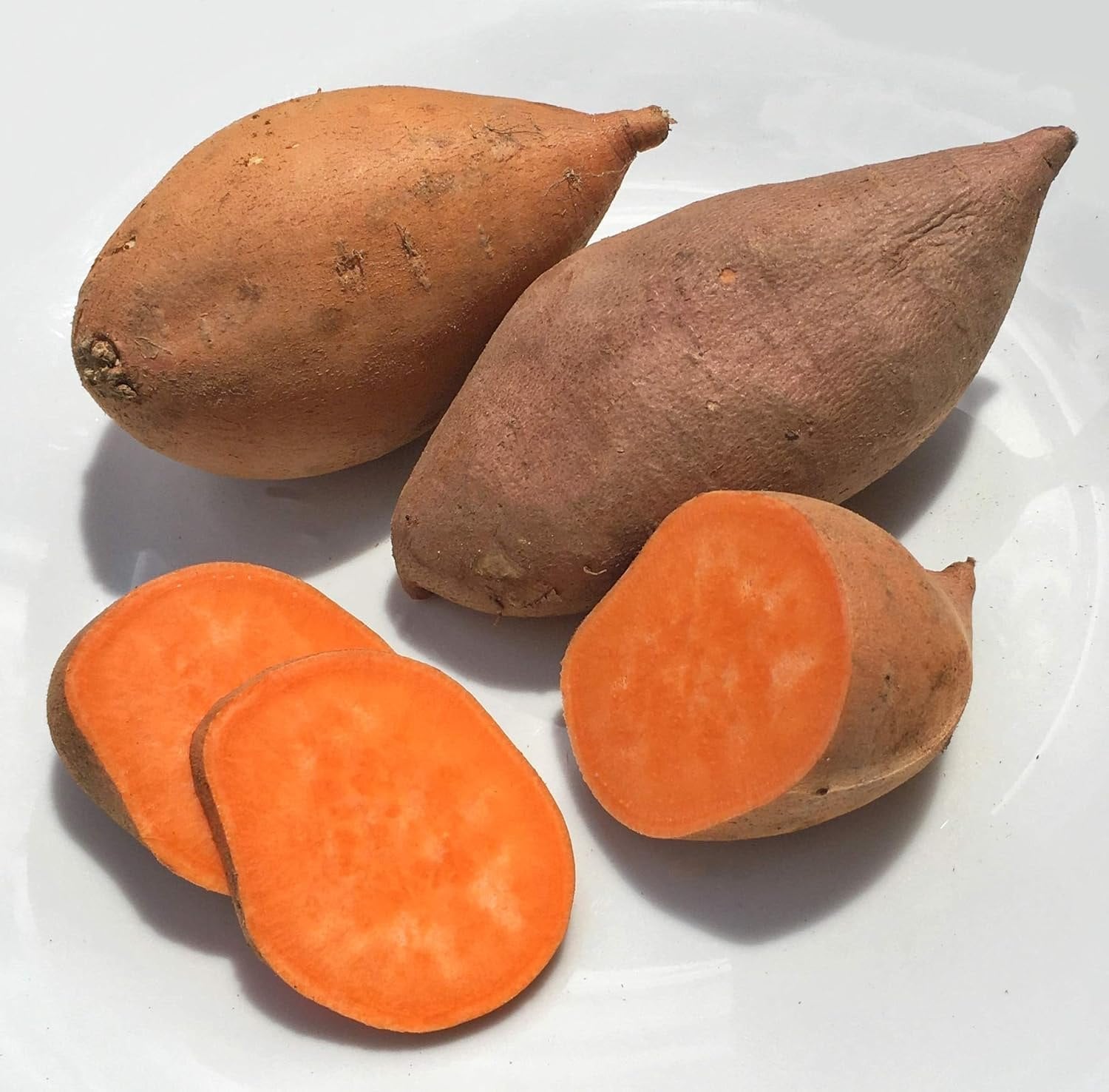 Süßkartoffel Gemüse Samen zum Pflanzen - Braun & Orange Varieties