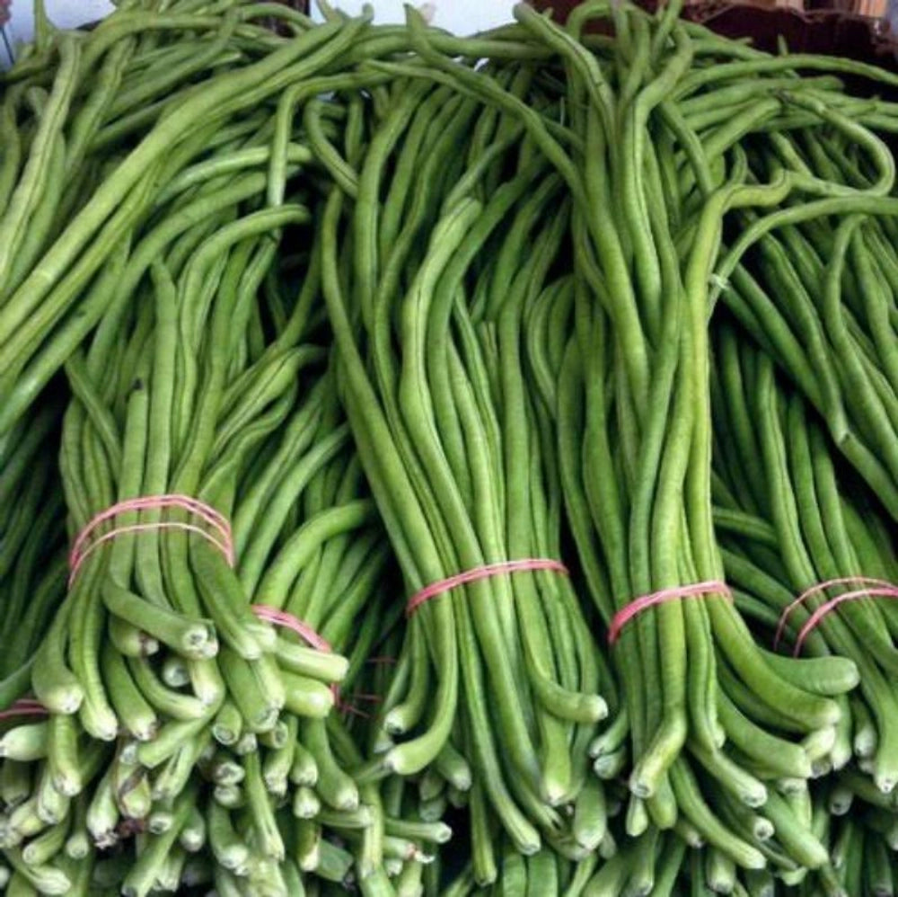 Planting Cowpea Gemüsesamen for Your Garden