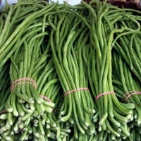 Planting Cowpea Gemüsesamen for Your Garden