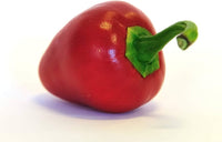 Pimento capsicum annuum für aussaat in kitchen garten