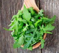Green Rucola Gemüse Samen zum Pflanzen