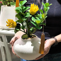 Buddha's Hand Blumensamen zur Aussaat – Anzucht – Traditionssorte & ohne Gentechnik Samen Hausgarten