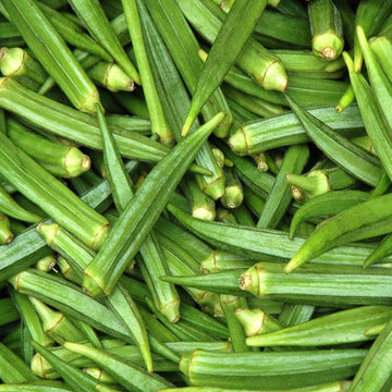 Okra abelmoschus esculentus für aussaat in gemüse patch