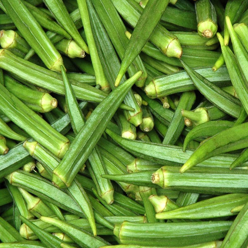 Okra abelmoschus esculentus für aussaat in gemüse patch