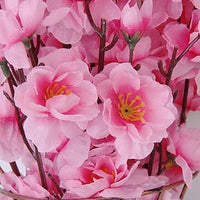 Dekorly Blumensamen zur Aussaat – duftend Blüten – Traditionssorte & ohne Gentechnik Samen Hausgarten