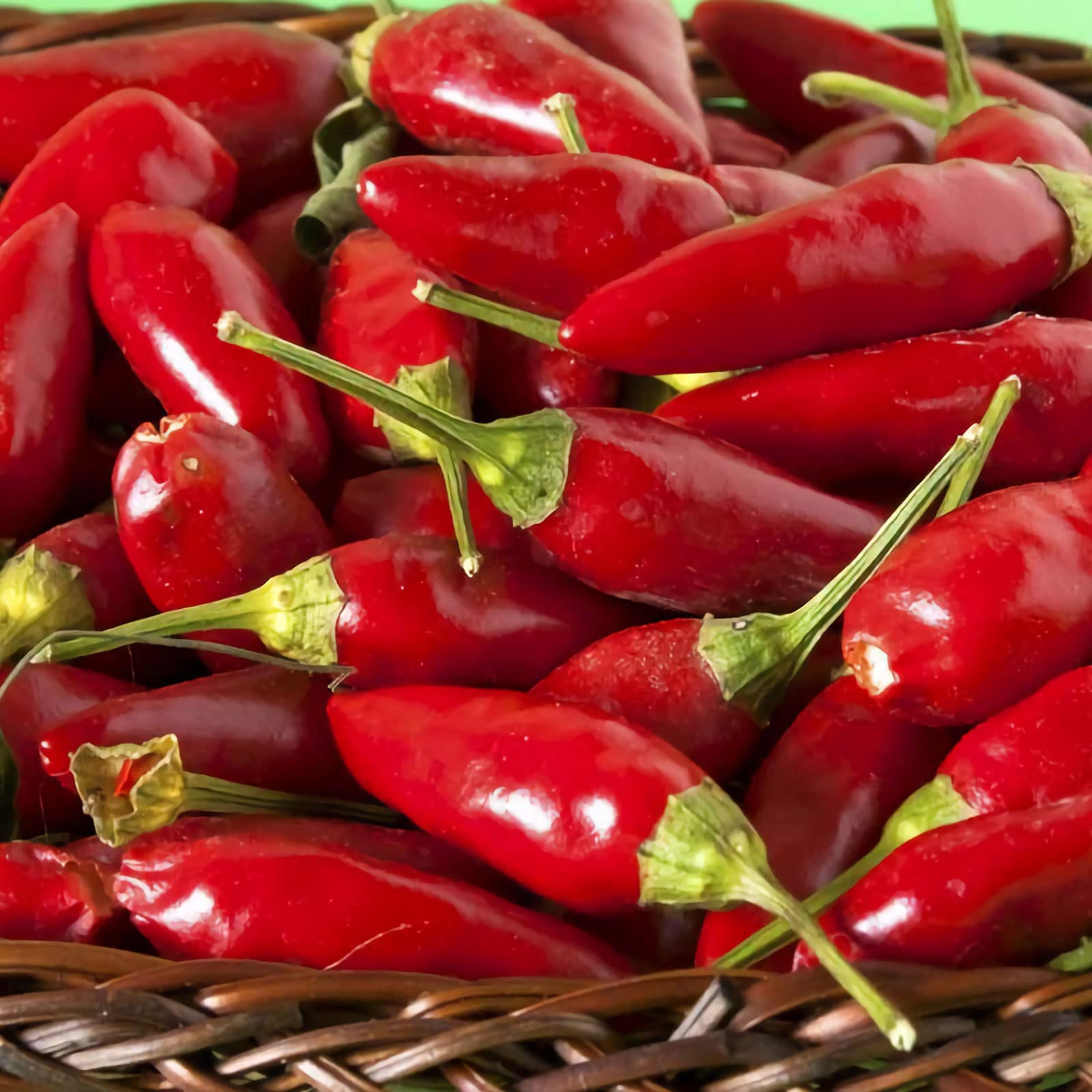 Thai Sun Hot Pepper Capsicum annuum Samen