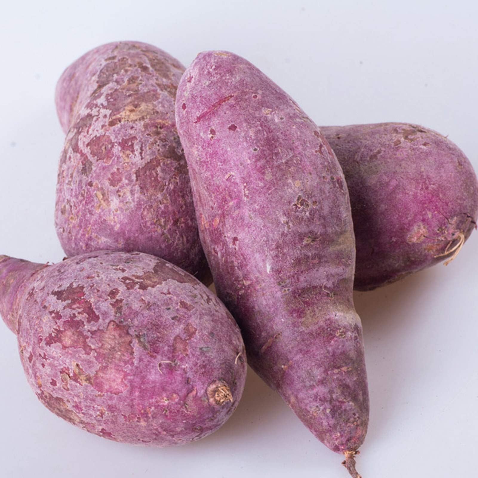 Pink-Lila Potato Gemüsesamen, Perfect for Home Gardens