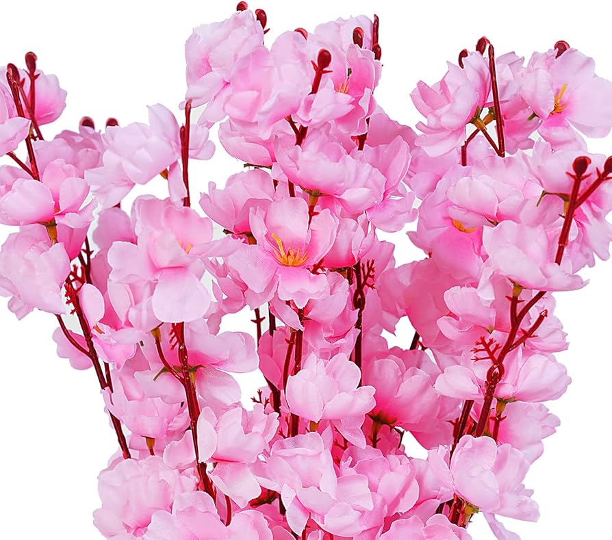 Dekorly Blumensamen zur Aussaat – duftend Blüten – Traditionssorte & ohne Gentechnik Samen Hausgarten