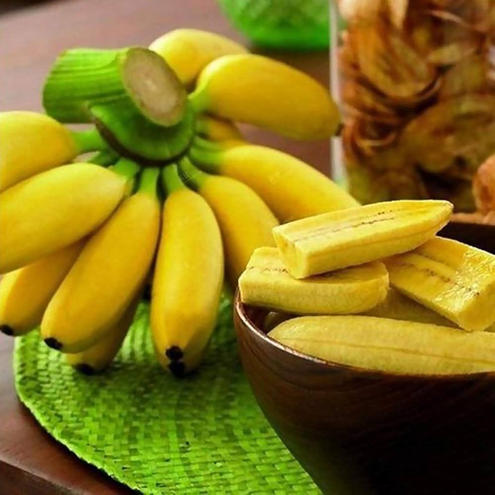 Bananensamen für einfaches Anpflanzen