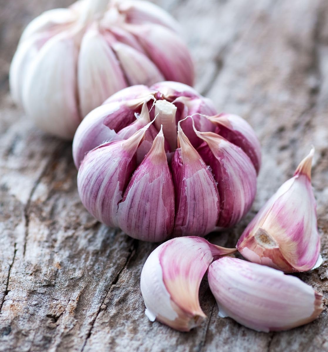Garlic Vegetable Samen For Aussaat: Add Exotic Charm To Your Garten Kraut
