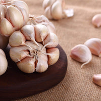 Knoblauch Samen for Gemüse Garden Planting