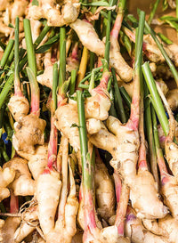 Braun Ginger Planting Samen for Gemüses