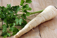 Hamburg Rooted Parsley Petroselinum crispum Samen zur Aussaat kitchen herb Garten