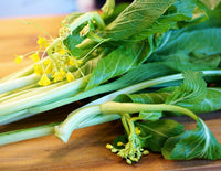 Green Choy Sum Gemüsesamen für einfache Aussaat