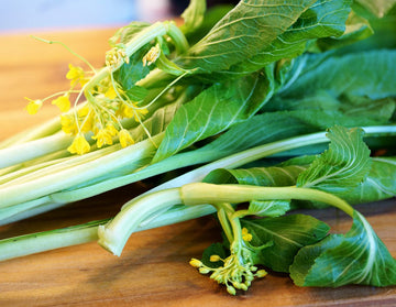 Green Choy Sum Gemüsesamen für einfache Aussaat