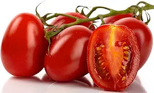 Roma VF Tomate Samen for Traditionell Tomatees