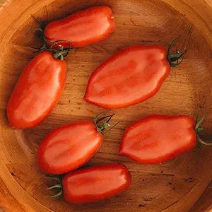 San marzano tomato samen für authentic tomatoes