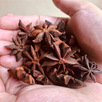 Anise Myrrhis Odorata Blumensamen zur Aussaat Herb Garten und Garten