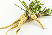 Hamburg Rooted Parsley Petroselinum crispum Samen zur Aussaat kitchen herb Garten
