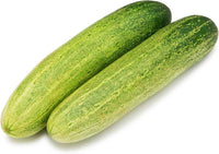 Cucumber Gemüsesamen für einfache Aussaat