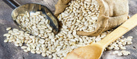 Weiß Mogettes Beans Planting Samen for Gemüses