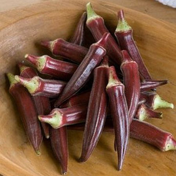 Burgundy Gemüse Samen zum Pflanzen