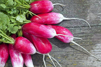 Easter egg radish samen - colorful aussaat für vibrant harvests gemüse samen