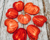 Tomate Gemüse Solanum lycopersicum Samen zum Pflanzen in Gemüse Patch