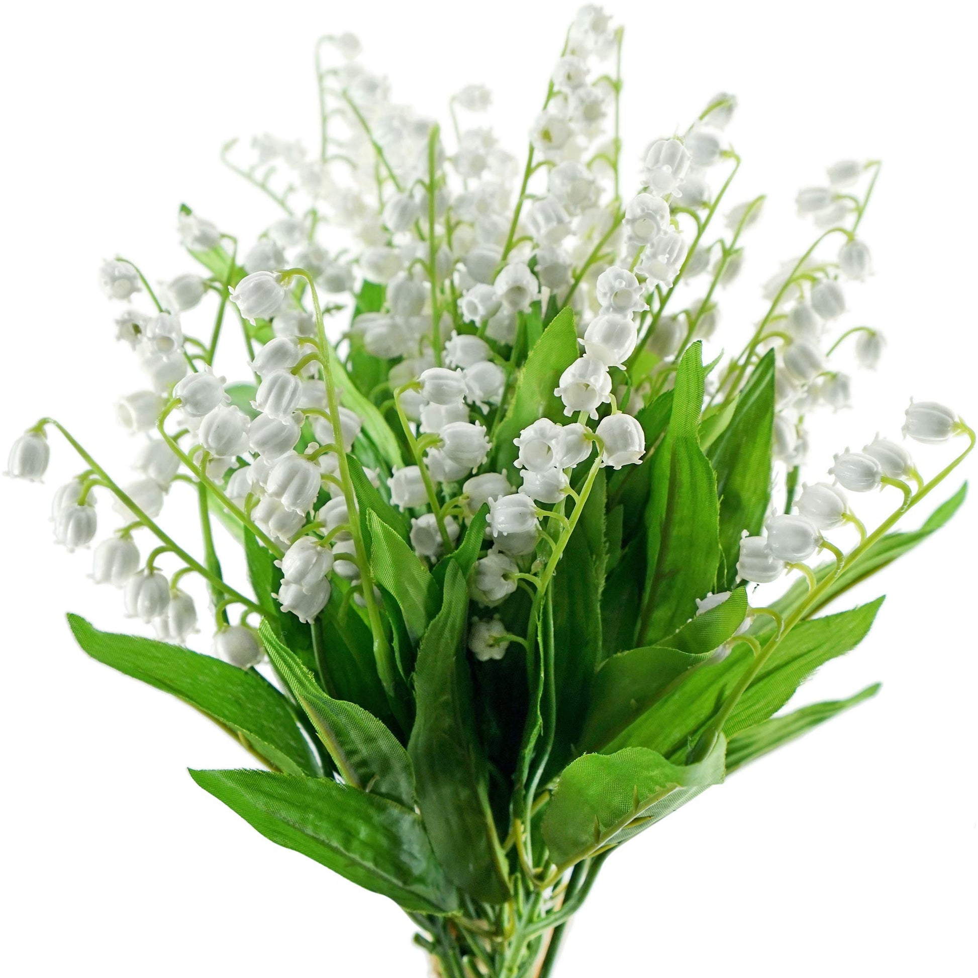 Maiglöckchen Blumen für Innenräume selten Bell-Orchidee Samen