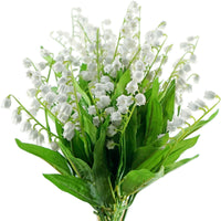Maiglöckchen Blumen für Innenräume selten Bell-Orchidee Samen