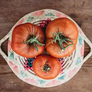 Brandywine red tomato samen für traditionelle tomatoes