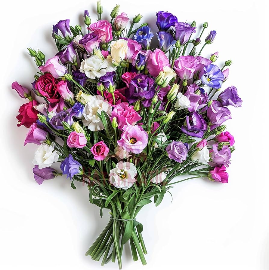 Mixed lisianthus sapphire blume samen for anpflanzung - seasonal bloomer, heirloom & gmo free samen for home garten
 
 sale samen for anpflanzung in home garten