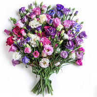 Mixed lisianthus sapphire blume samen for anpflanzung - seasonal bloomer, heirloom & gmo free samen for home garten
 
 sale samen for anpflanzung in home garten