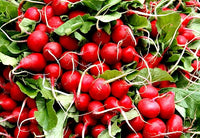 Easter egg radish samen - colorful aussaat für vibrant harvests gemüse samen