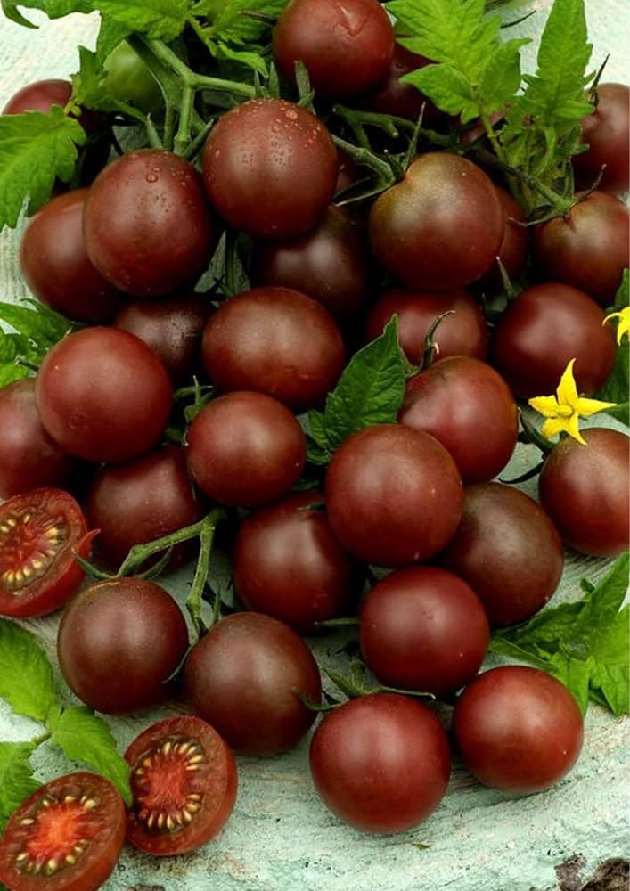 Schwarz Cherry Tomate Samen zum Pflanzen vegetable patch
