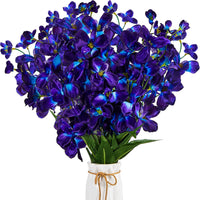 Blau-Lila Schmetterlingsorchidee Orchidee Samen Blumensamen zur Aussaat – ideal Rabatten – Traditionssorte & ohne Gentechnik Samen Hausgarten