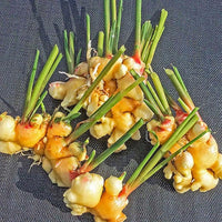 Spicy ginger root gemüse samen für aussaat samen