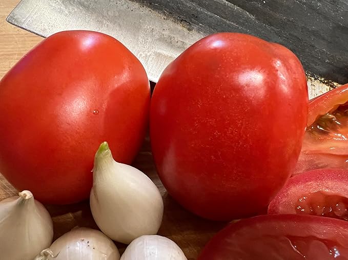 Homestead Tomate Samen for Home-Grown Tomatees