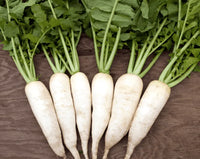Radish Samen zum Pflanzen - Gemüsesamen