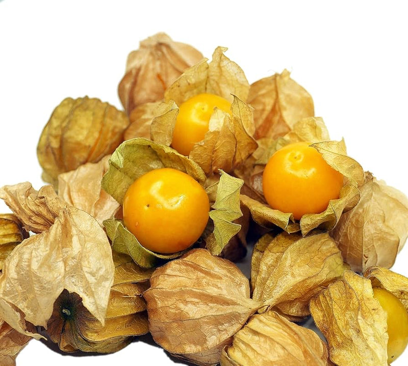 Pineapple tomatillo samen for rare gelb fruits in your garten