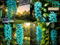 hell Grün Strongylodon Blumensamen zur Aussaat leuchtend Blüten Traditionssorte & ohne Gentechnik Samen Hausgarten