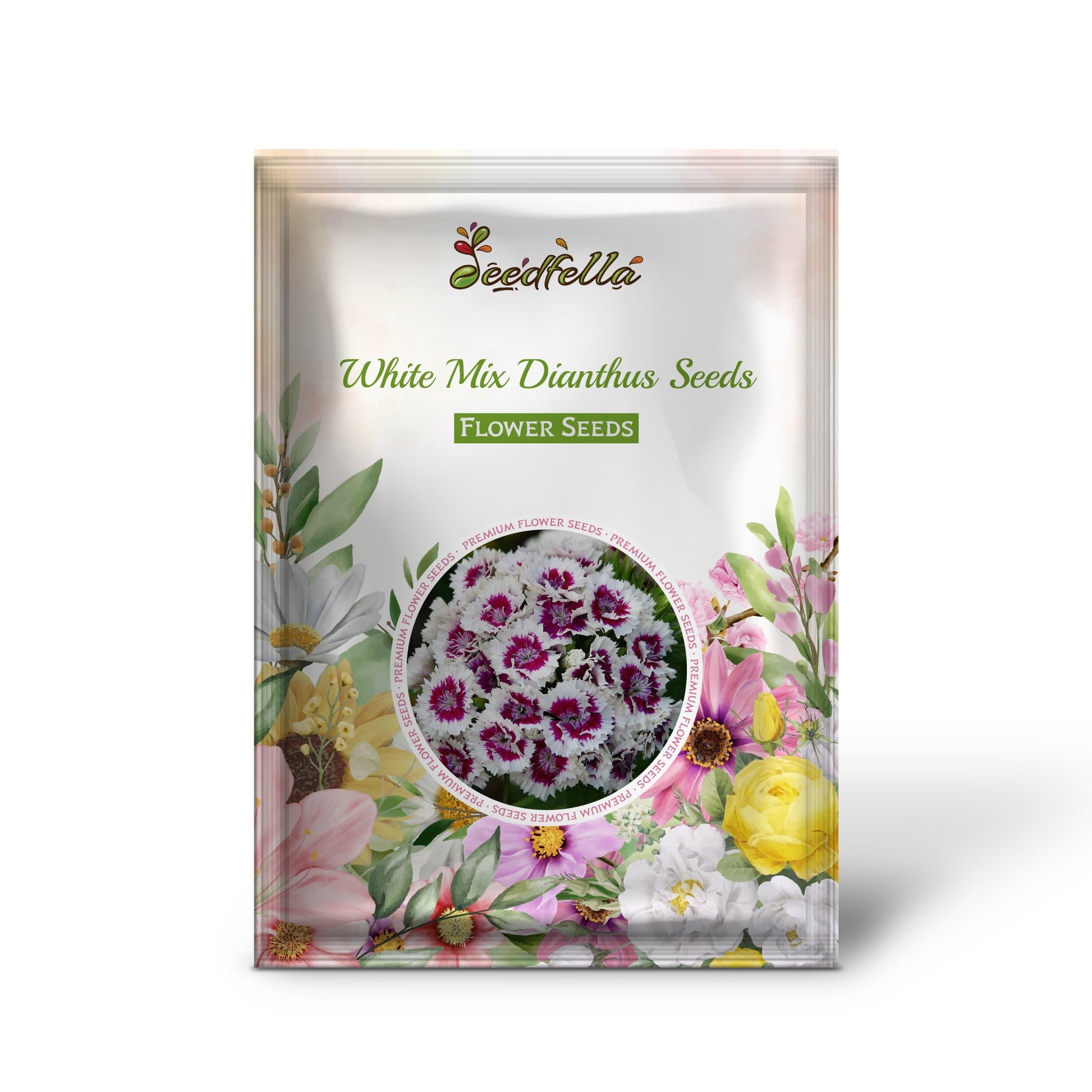Weiß Mischung Nelke Samen zur Aussaat – elegant Blume Blüten