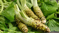 Green Horseradish Gemüse Samen zum Pflanzen