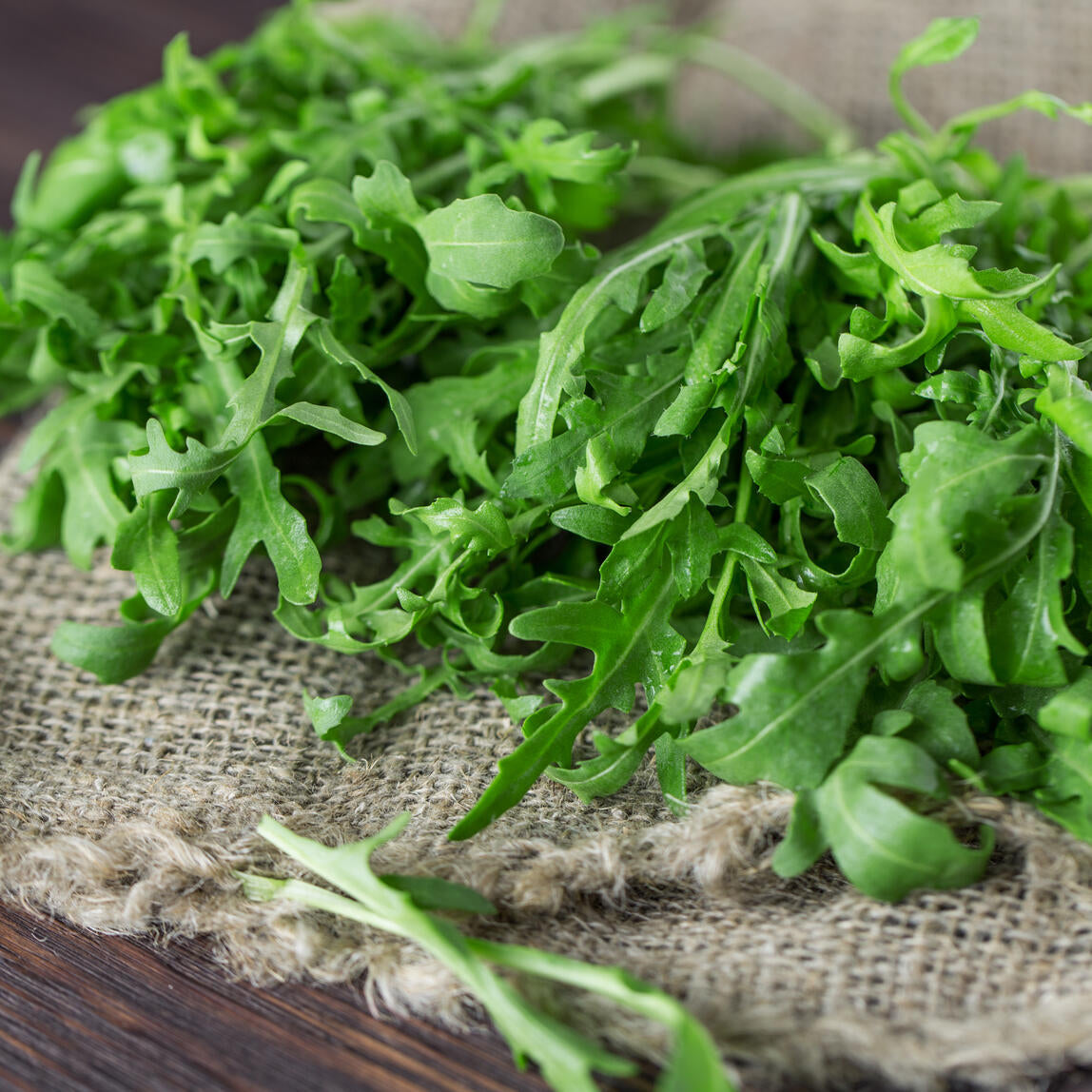 Green Rucola Gemüse Samen zum Pflanzen