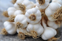 Planting Guide for Weiß Knoblauch Samen