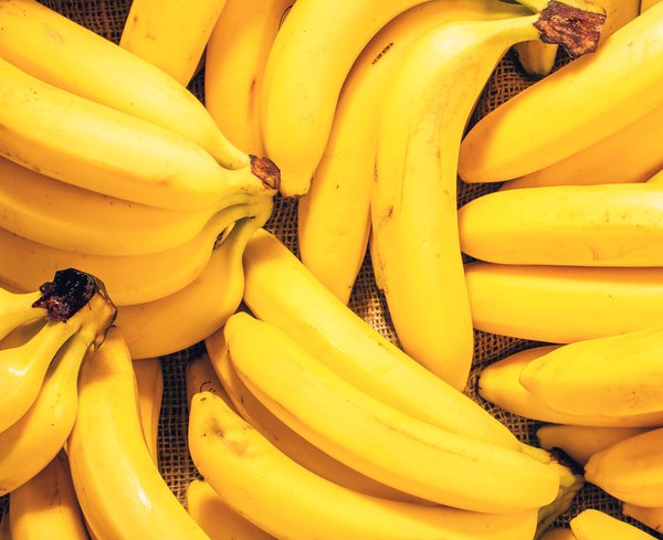 Bananensamen für einfaches Anpflanzen