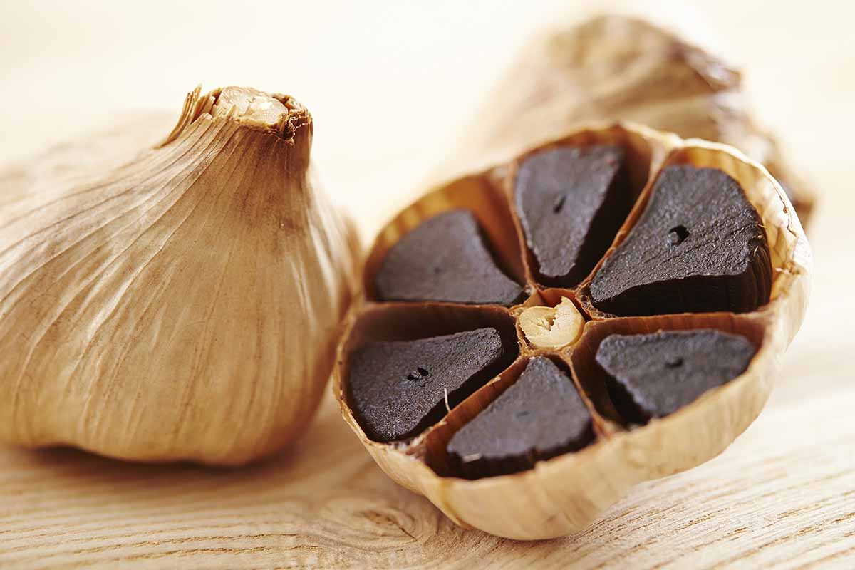 Schwarze knoblauch gemüse samen für aussaat - add unique flavor & nutrition samen