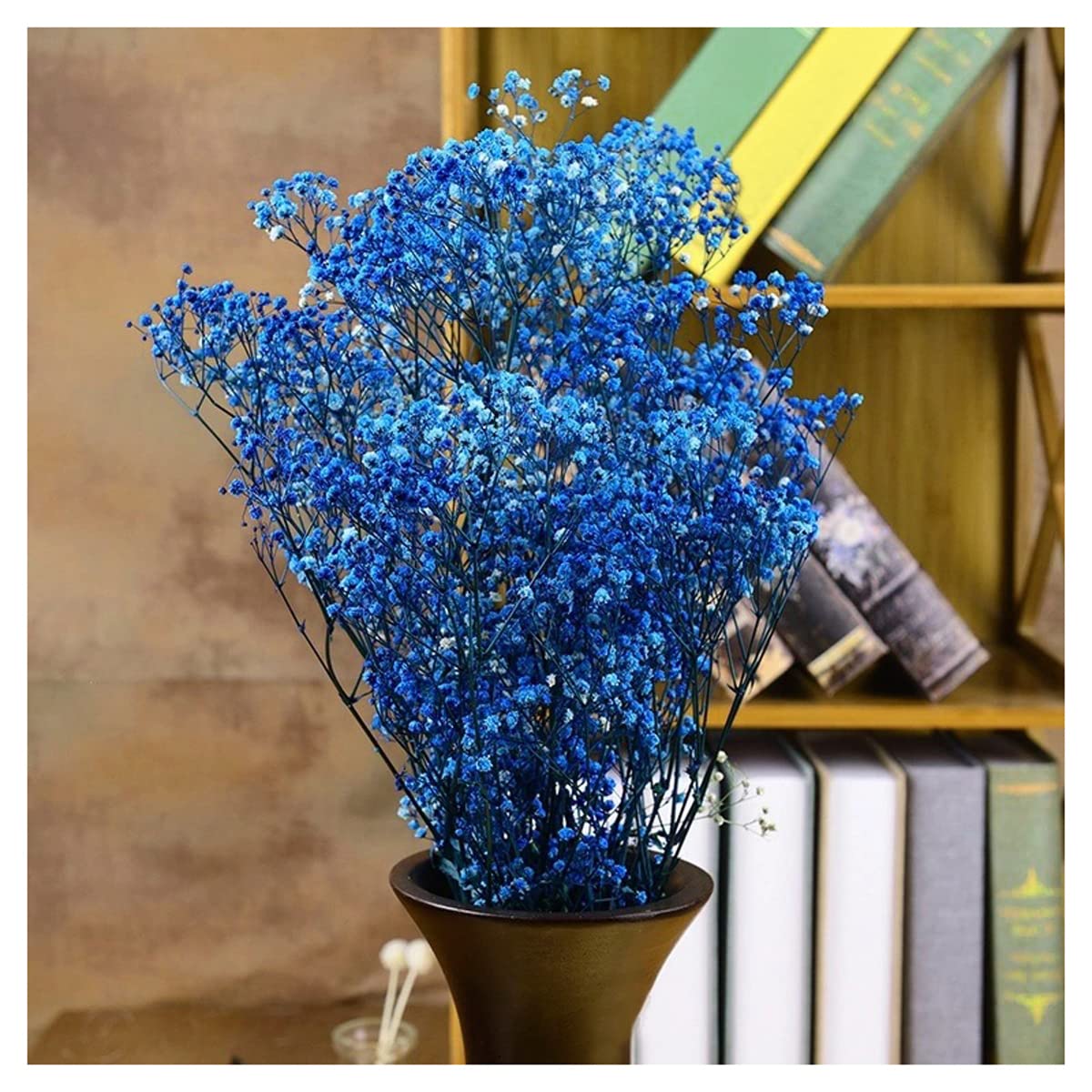 Non-gmo blau gypsophila samen
