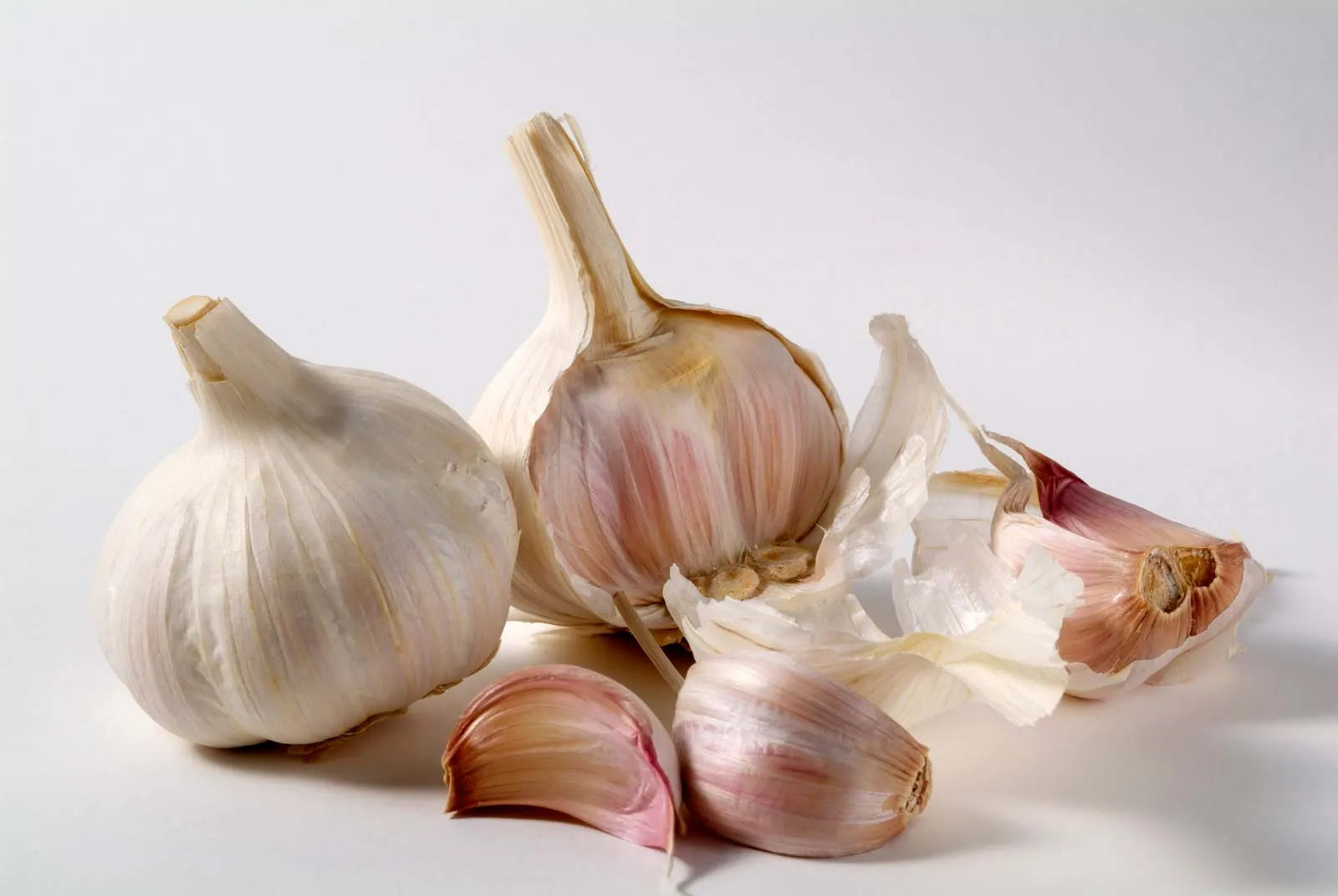 Vibrant knoblauch gemüse samen für aussaat: perfect colorful gardens samen